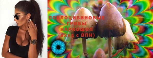 марки nbome Алзамай