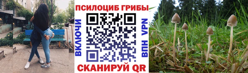 цена наркотик  Чистополь  hydra ссылка  Псилоцибиновые грибы Cubensis 