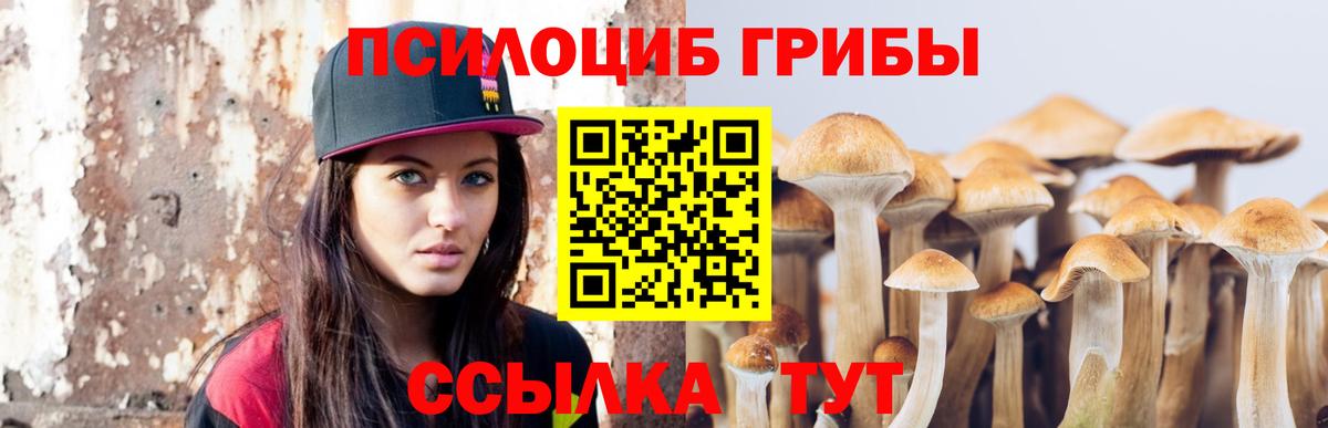 Галлюциногенные грибы GOLDEN TEACHER  Вход с VPN  Чистополь 
