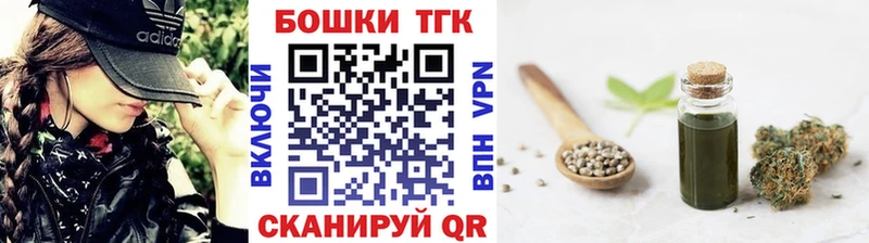 Каннабис план  купить наркотики цена  Чистополь 